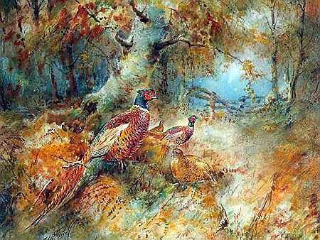 William Edward Powell : Pheasant in Covert