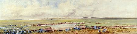 Frederick Henry Partridge : VIEW OF SCOLT HEAD