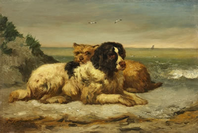 Edouard Woutermaertens : TWO DOGS AT THE COAST