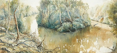 Patrick Shirvington : Lane Cove River