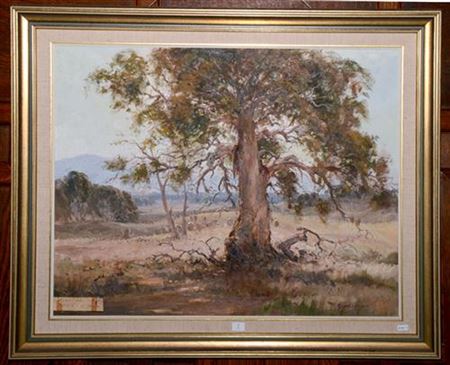 Robert Wilson : Sheep Grazing amongst the Large Gum Jindabyne