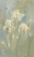 Mary Davis : Pale yellow iris