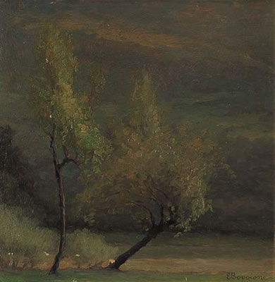 Enrico Boggione : Alberi