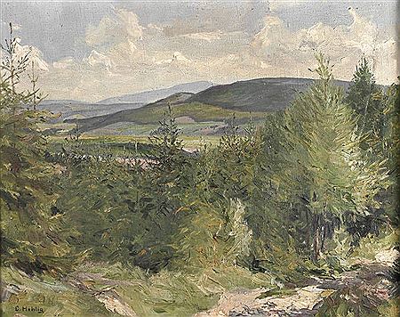 Georg Hohlig : Sonnige Erzgebirgslandschaft Blick über Fichtenschonung in weite sommerliche Gebirgslandschaft unter duftig bewölktem Himmel