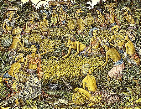 I Wayan Supharta : Harvest, 2009