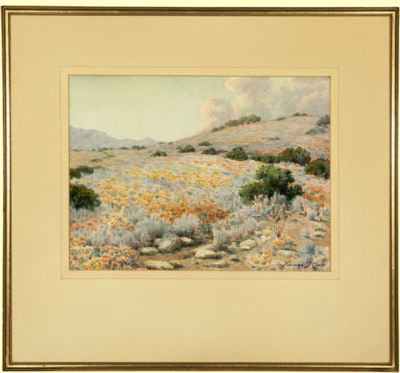 Norman St Clair : California hillside with poppies