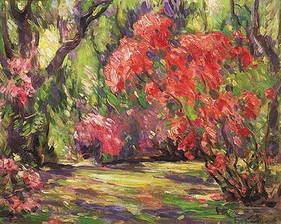 Ivan Summers : Azaleas, Magnolia Gardens, Charleston, S.C.