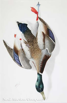 George Viavant : Nature Morte: Green Headed Mallard Duck