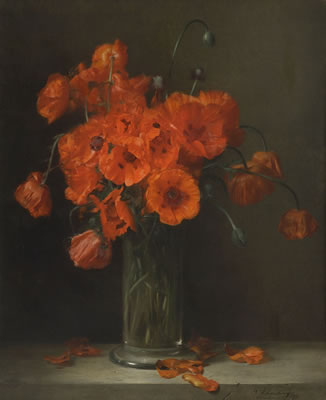 Gabriel Schachinger : Klatschmohn in Glasvase