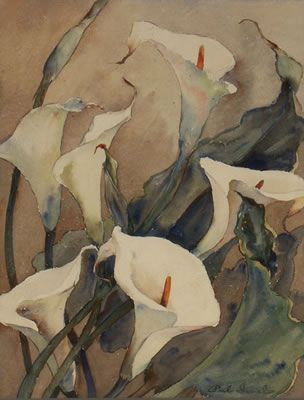 Paul Immel : Calla Lillies