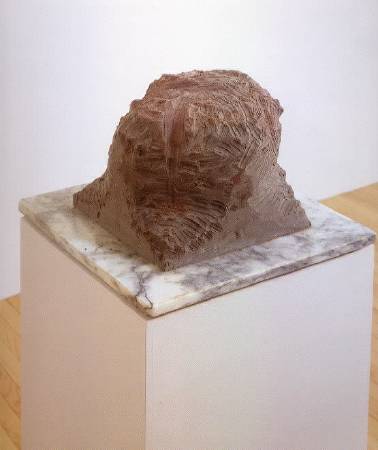 Janine Antoni : Chocolate Gnaw