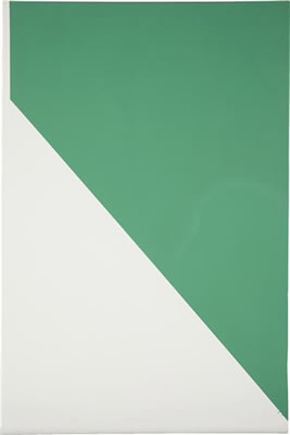 Davis Rhodes : Untitled (Green), 2007