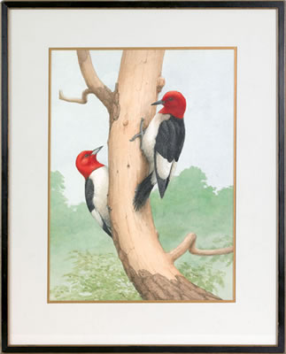 Earl Lincoln Poole : RED HEADED WOODPECKERS