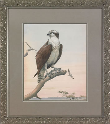 Earl Lincoln Poole : Osprey with fish