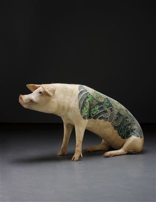 Wim Delvoye : Untitled (Koi), 2008