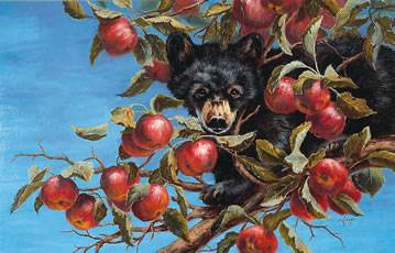 Mimi Grant : Apple Bruin