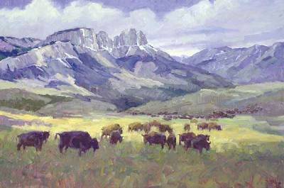 Linda Tippetts : Bison-Rocky Mountain Front