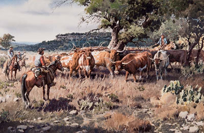 James Boren : Longhorn in the Hill Country