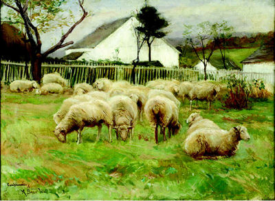 Alfred Bryan Wall : Sheep grazing in a fenced pasture, nearby farmhouses, circa 1901-1902