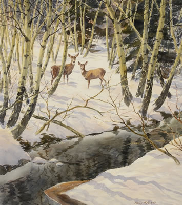 Hans Kleiber : Winter Does in Aspen