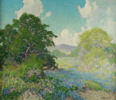 Peter Hohnstedt : Blue Bonnets in the Hill Country