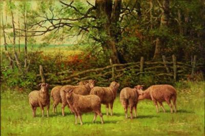 Edward Burrill Jr : Sheep and Ram in a Pasture