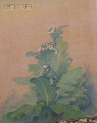 Harold Lindergreen : Broccoli in Flower