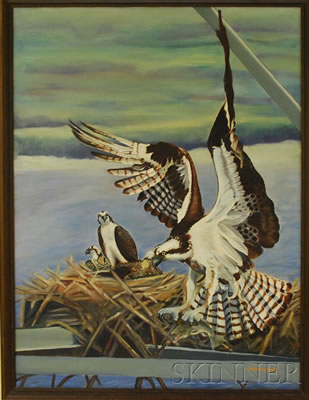 Candace Lovely : Ospreys at their Nest