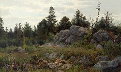 Carl Philipp Weber : In the Adirondacks