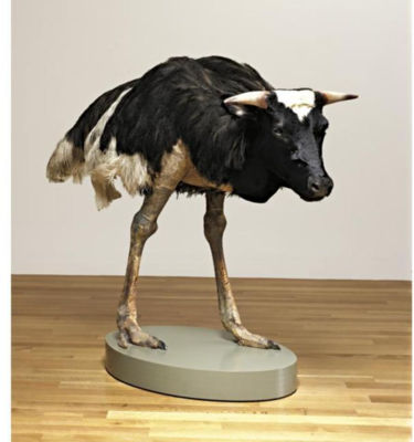 Thomas Grunfeld : Misfit (Cow)