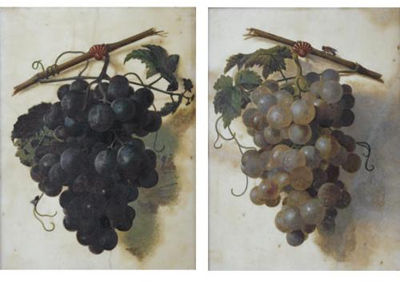 Christiaen van Pol : A Still Life of Green Grapes; A Still Life of Red Grapes (Pair)