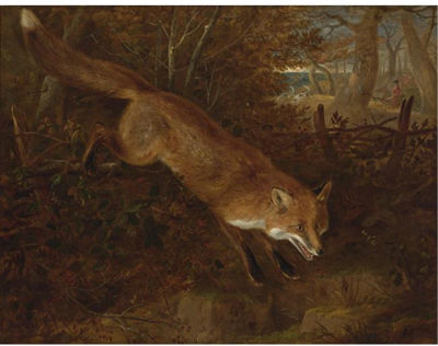 William Webb : A FOX BREAKING COVER