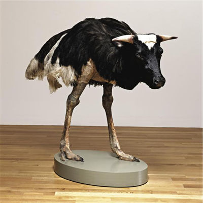 Thomas Grunfeld : MISFIT (COW)