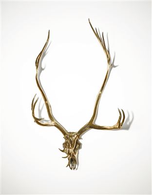 Sherrie Levine : CARIBOU SKULL