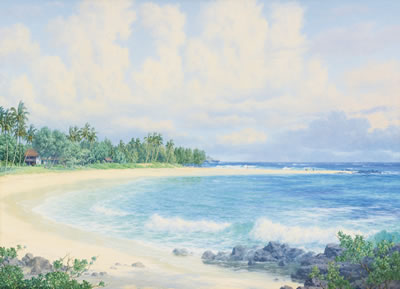 Lloyd Sexton Jr : THE HAWAIIAN COAST