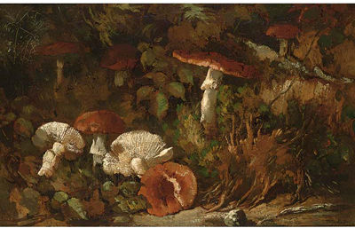 Theodor Franciscus Goedvriend : Mushrooms