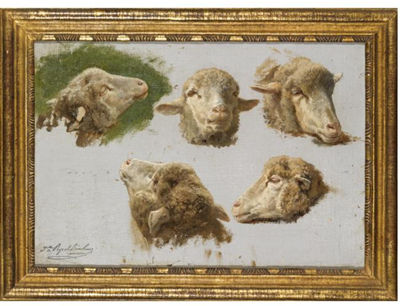 Juliette Peyrol Bonheur : STUDIES OF SHEEP HEADS