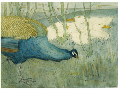 Theodoor Van Hoytema : PEACOCK AND DUCKS ON A RIVERBANK