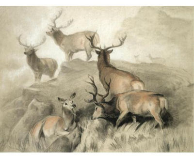 Edwin Henry Landseer