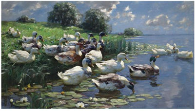 Alexander Koester : ENTEN AM SEEUFER (DUCKS ON A LAKE SHORE)