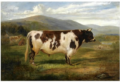 Joseph Denovan Adam : PRESIDENT, AN AYRSHIRE BULL