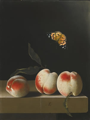 Adriaen Coorte : THREE PEACHES ON A STONE LEDGE, WITH A RED ADMIRAL BUTTERFLY