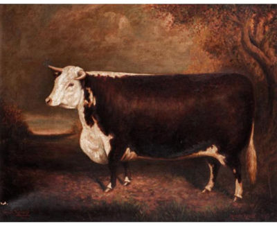 Herbert St John Jones : MERRY AGNES - 33RD, CHAMPION HEREFORD HEIFER