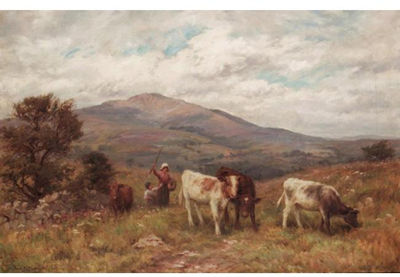 Fred James Knowles : HERDING THE CATTLE