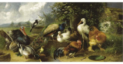 Julius Scheuerer : FARMYARD BIRDS