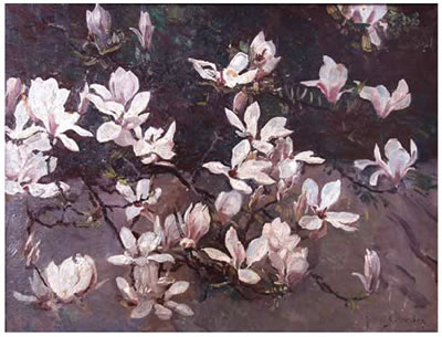 Frans David Oerder : Magnolias