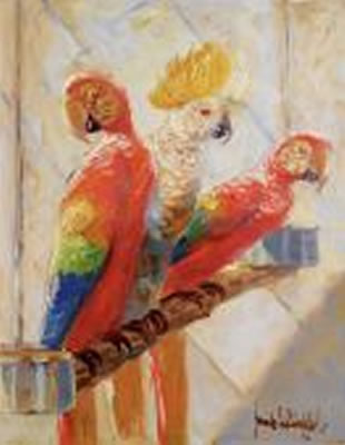 Hans Wurffel : Three parrots