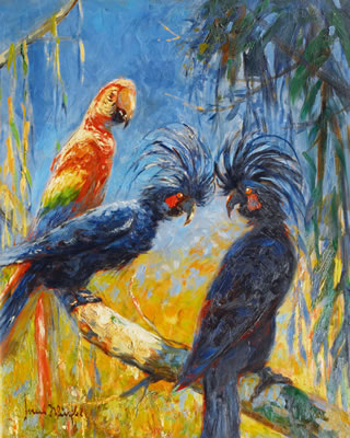 Hans Wurffel : Red Ara and Blue Cockatoos