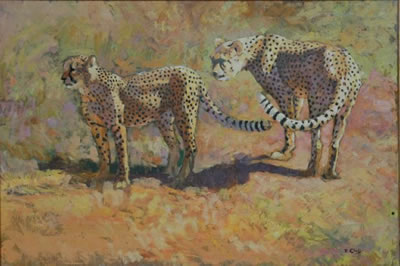 Zakkie Zacharias Eloff : TWO CHEETAS