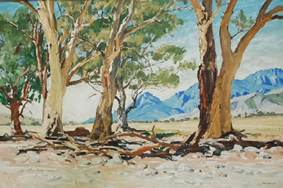 Maxwell Richard Ragless : Moralana Flinders Ranges